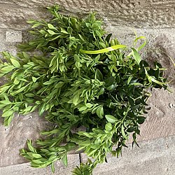 zusammengebundene Buchsbaumzweige