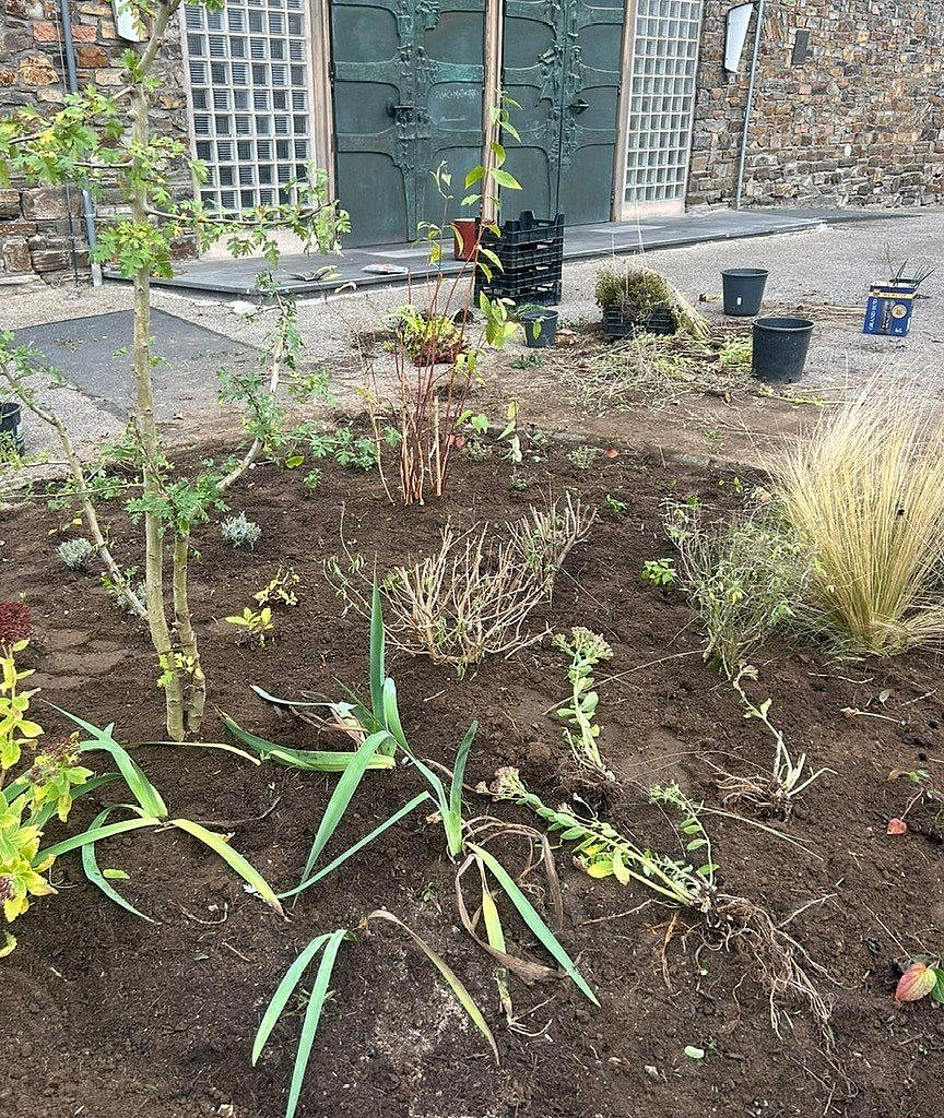 Frisch bepflanzter Bereich