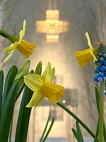 Ein leuchtendes Kreuz im Hintergrund, Narzissen im Vordergrund