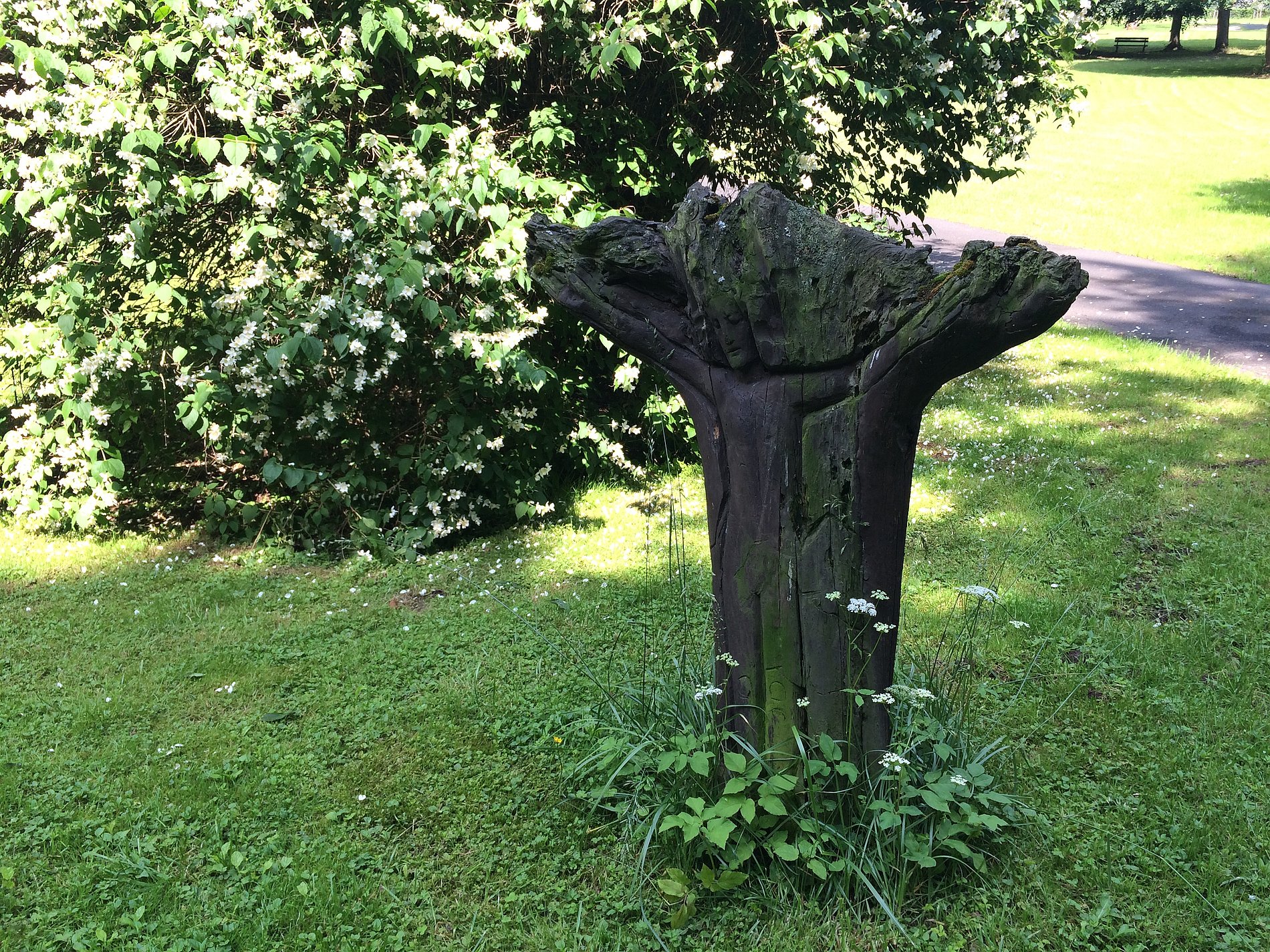 In einen Baumstamm geschnitzte Jesusfigur am Kreuz 