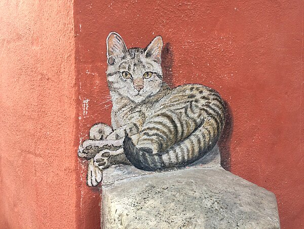 gemalte Katze gemalte Katze auf einer Hauswand